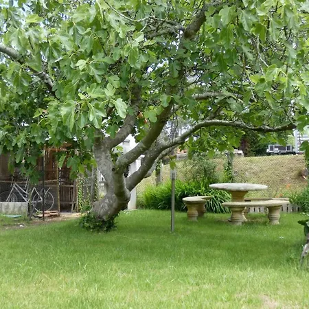 Sifitis, L'océan Pour Voisin Hébergement de vacances