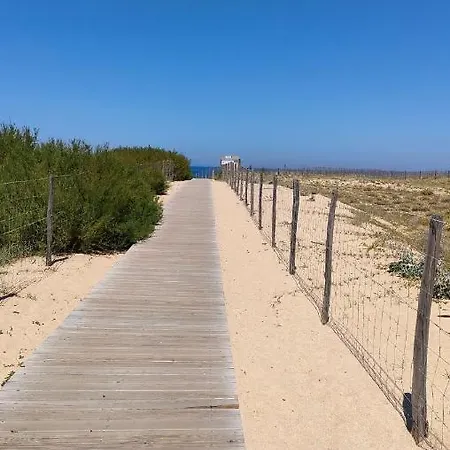 Prázdninový dům L'ocean Pour Voisin, 3 Etoiles Pour 5 A 6 Pers, Dans Maison, Terrasse 34metres Carres A 1500 M Tarnos