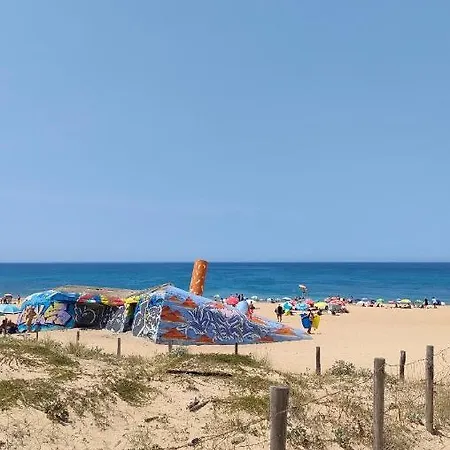 L'ocean Pour Voisin, 3 Etoiles Pour 5 A 6 Pers, Dans Maison, Terrasse 34metres Carres A 1500 M