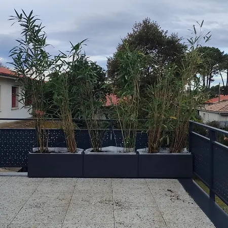 L'ocean Pour Voisin, 3 Etoiles Pour 5 A 6 Pers, Dans Maison, Terrasse 34metres Carres A 1500 M