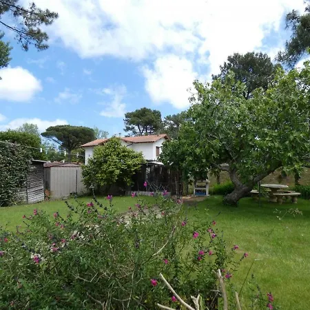 L'ocean Pour Voisin, 3 Etoiles Pour 5 A 6 Pers, Dans Maison, Terrasse 34metres Carres A 1500 M *